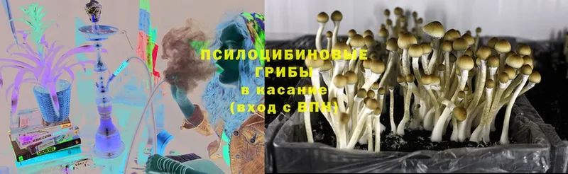 Псилоцибиновые грибы MAGIC MUSHROOMS  Камышин 